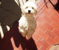 /album/marisa-neves/ferias-agosto-2014-080-jpg/